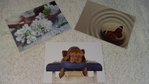 gift-voucher-designs